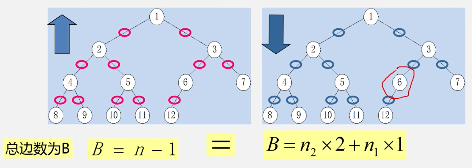 image-20240215152429945